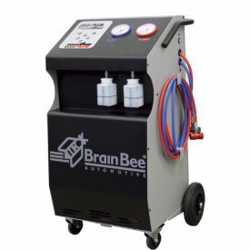 Акция от BrainBee